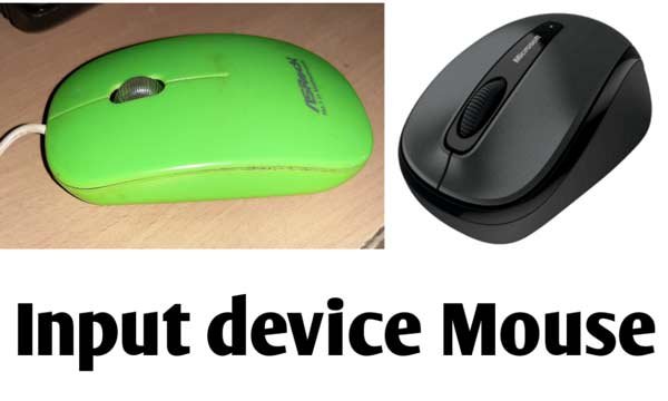 computer mouse